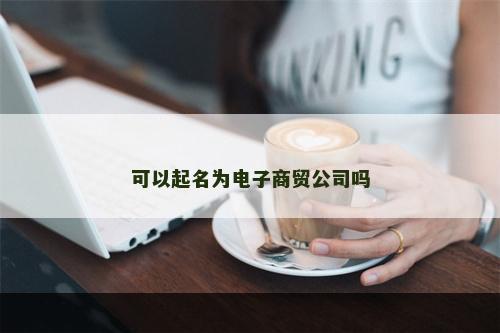可以起名为电子商贸公司吗