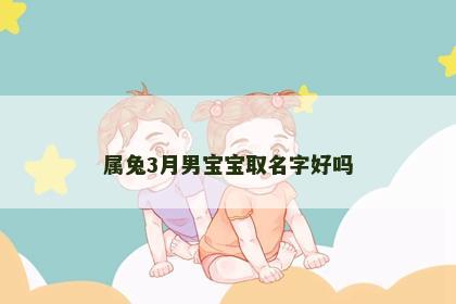 属兔3月男宝宝取名字好吗