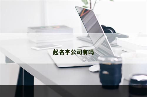 起名字公司有吗