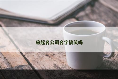 宋起名公司名字搞笑吗