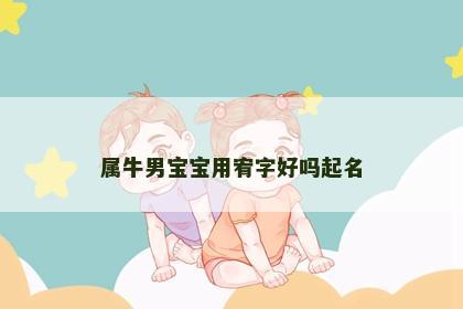 属牛男宝宝用宥字好吗起名
