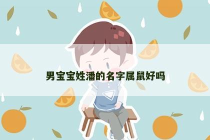 男宝宝姓潘的名字属鼠好吗