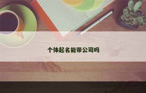 个体起名能带公司吗
