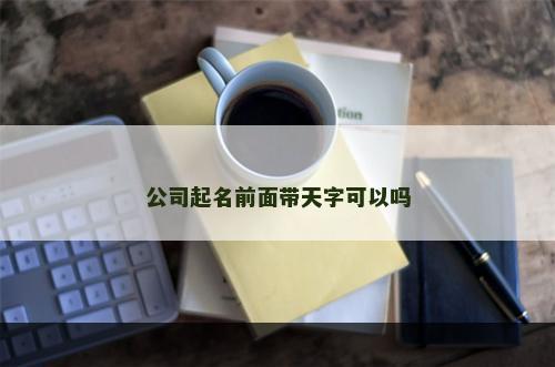 公司起名前面带天字可以吗