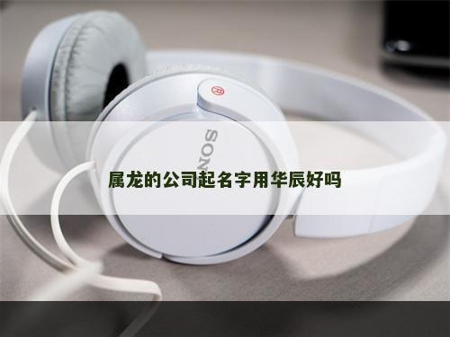 属龙的公司起名字用华辰好吗