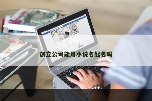创立公司能用小说名起名吗