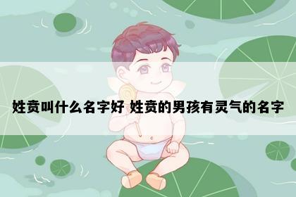 姓贲叫什么名字好 姓贲的男孩有灵气的名字