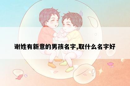 谢姓有新意的男孩名字,取什么名字好