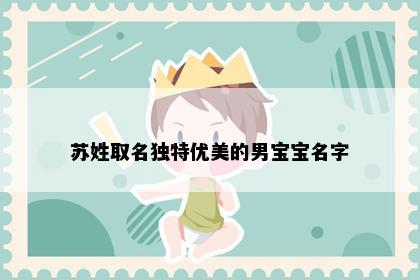 苏姓取名独特优美的男宝宝名字