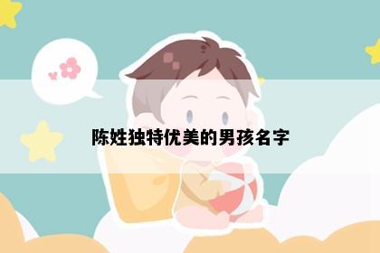 陈姓独特优美的男孩名字